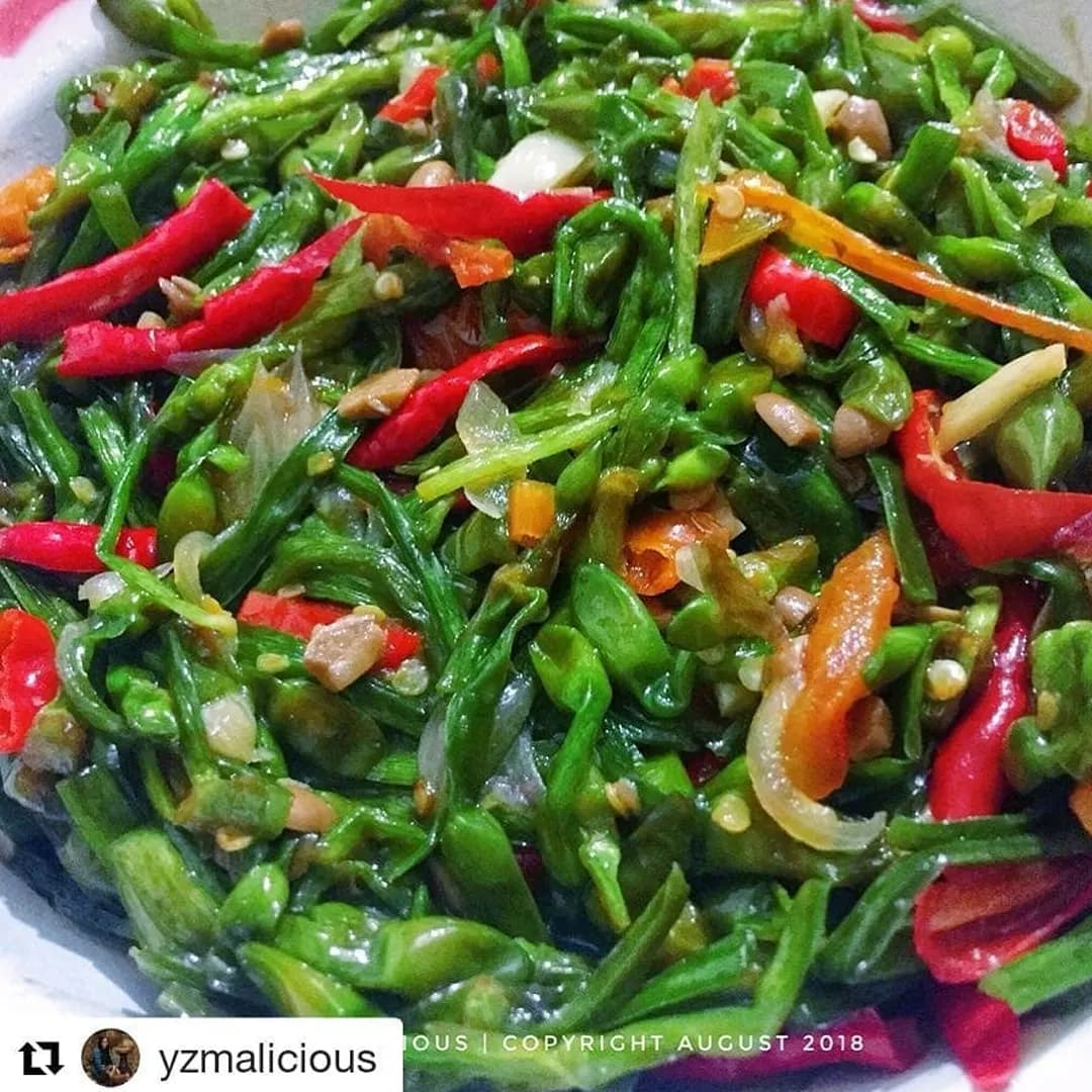 Bunga Genjer Masak Tauco